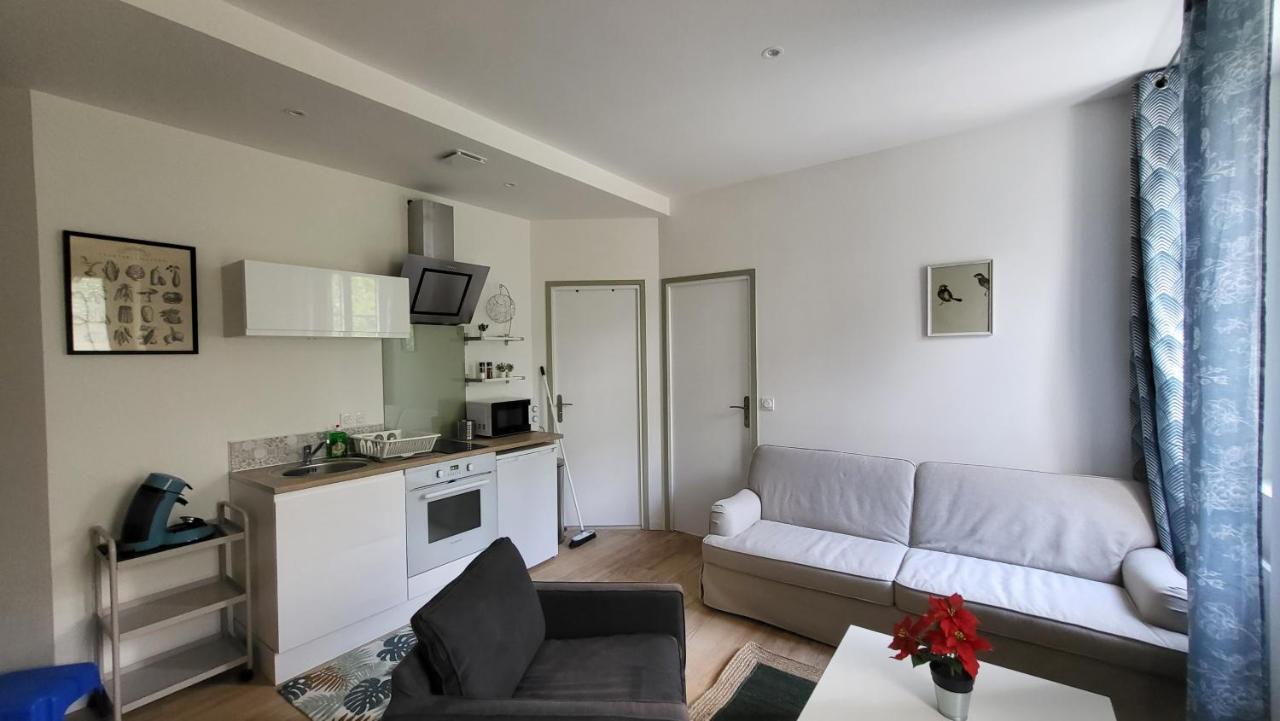 Apartment 2 Pieces Avec Terrasse Proche Centre - Parking Gratuit A Proximite Lourdes